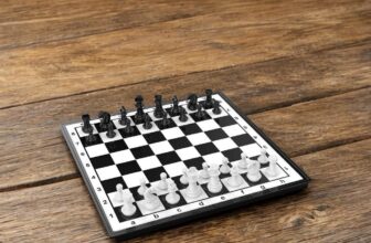 Chess Sets Travel Board Games: Magnetic Folding Chess Board with Instructions Teen Gifts Family Games Educational Toys for Kids and Adults 9.5 Inch