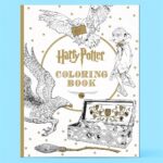 Harry Potter Coloring Book Paperback – 272 Pages with Magic Characters Patterns Scenes and Creatures for All Ages