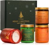 C Cacalom 4Pack/28oz Christmas Soy Candles Gift Set Non-Toxic Aromatherapy Scented Holiday Candles for Christmas Gifts Home Decor Luxury Vinilla Apple Eucalyptus Rose Jar Candle Winter Candle Set for Women Men