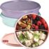 Food Refrigerator Storage Containers with 2 Lids 4 Layer Stackable Handheld Carrier for Snack Cookie Meat BPA Free Transparent 4 Tier for Party Camping BBQ Picnic Travel