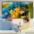 Star Light Projector Starry Night Light Planetarium Galaxy Projector with Dynamic Meteors 360° Rotation Nebula 4K HD Large Scale Projection for Bedroom Decor SKE-TKQ01